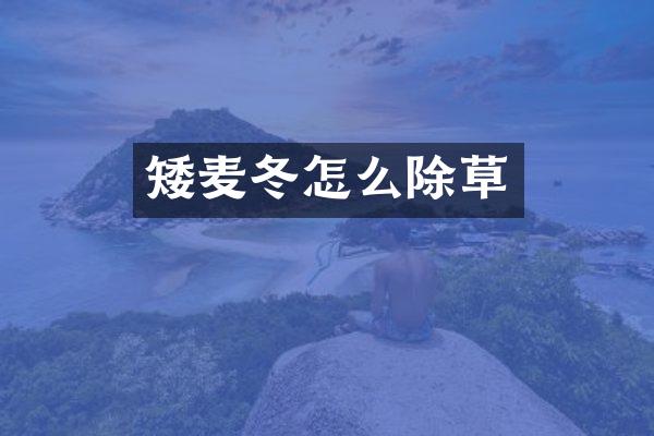矮麦冬怎么除草