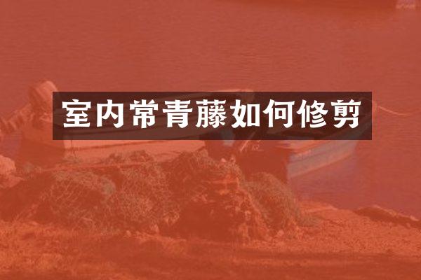 室内常青藤如何修剪