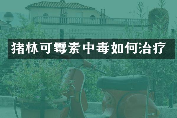 猪林可霉素中毒如何治疗