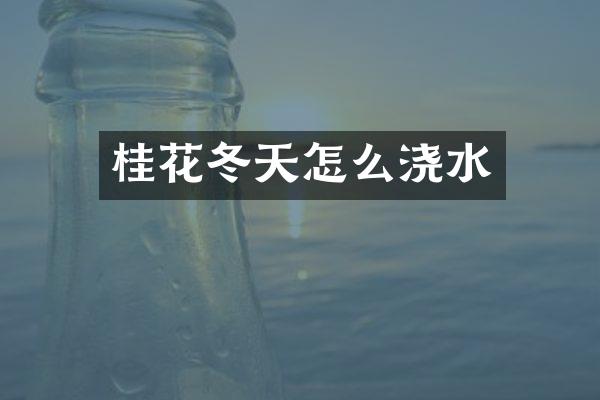 桂花冬天怎么浇水