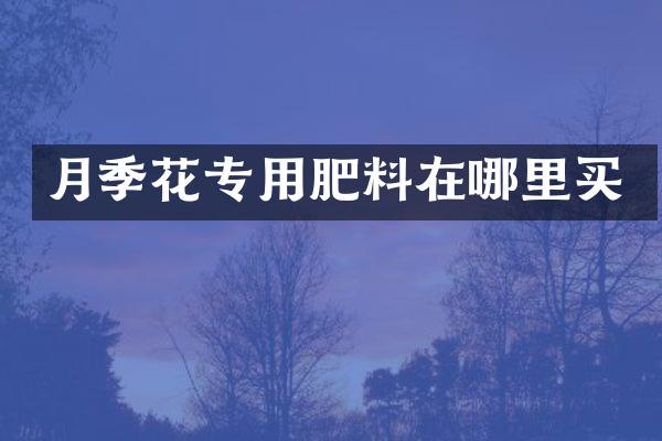 月季花专用肥料在哪里买