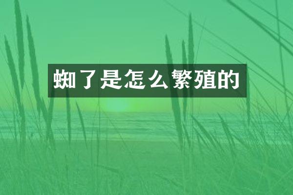 蜘了是怎么繁殖的