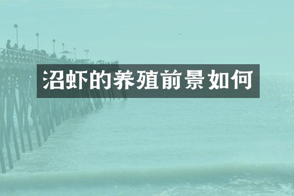 沼虾的养殖前景如何