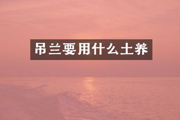 吊兰要用什么土养