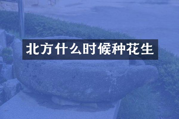 北方什么时候种花生