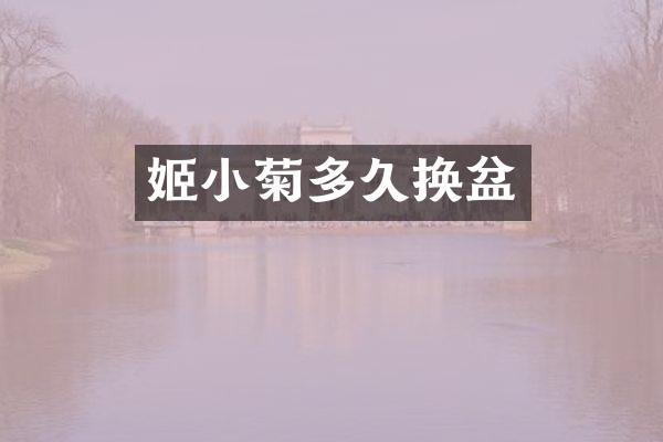 姬小菊多久换盆