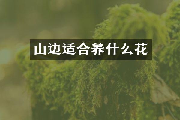 山边适合养什么花