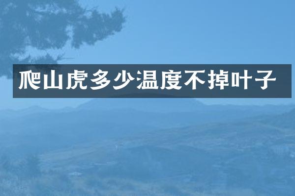 爬山虎多少温度不掉叶子