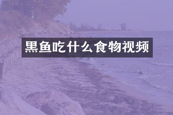 黑鱼吃什么食物视频
