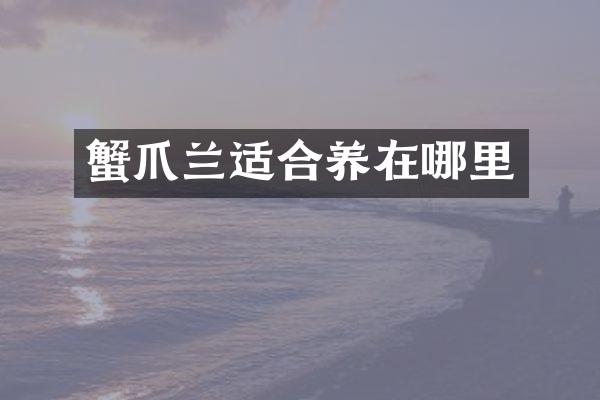 蟹爪兰适合养在哪里