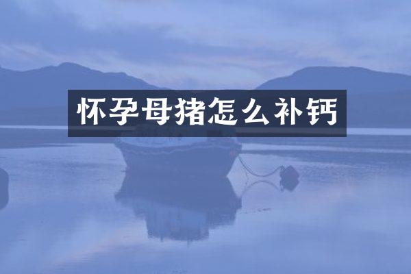 怀孕母猪怎么补钙