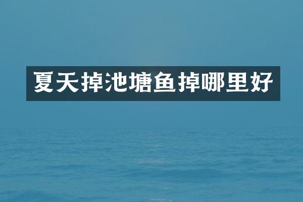夏天掉池塘鱼掉哪里好
