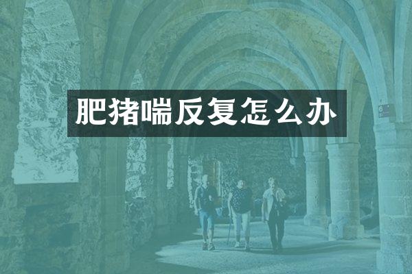 肥猪喘反复怎么办