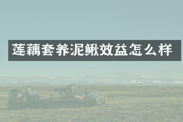 莲藕套养泥鳅效益怎么样