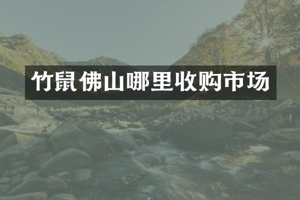 竹鼠佛山哪里收购市场