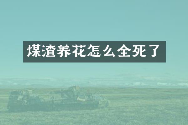 煤渣养花怎么全死了