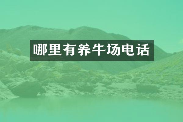 哪里有养牛场电话