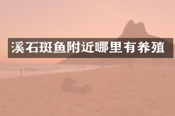 溪石斑鱼附近哪里有养殖