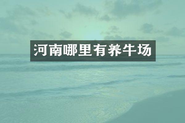河南哪里有养牛场