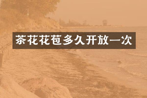 茶花花苞多久开放一次