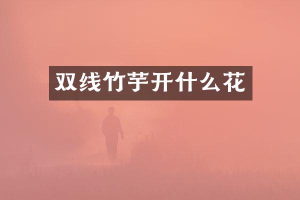 双线竹芋开什么花
