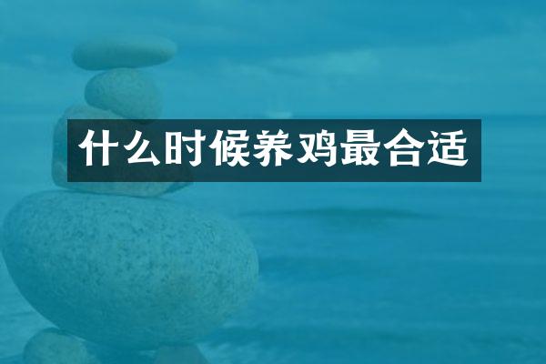 什么时候养鸡最合适