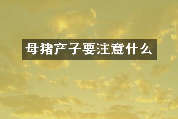 母猪产子要注意什么