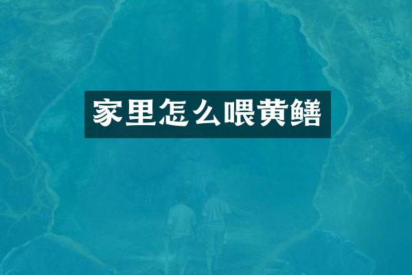 家里怎么喂黄鳝