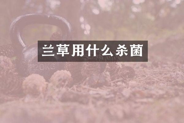 兰草用什么杀菌