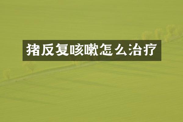 猪反复咳嗽怎么治疗