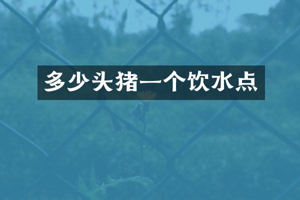 多少头猪一个饮水点
