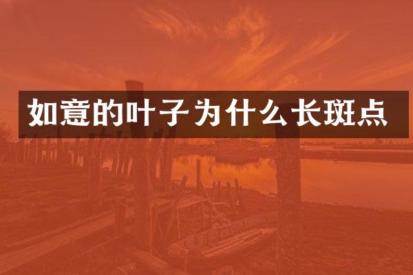 如意的叶子为什么长斑点