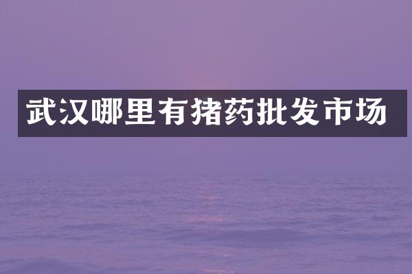武汉哪里有猪药批发市场