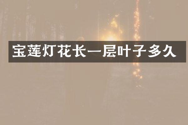 宝莲灯花长一层叶子多久