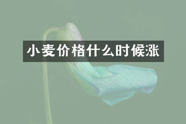 小麦价格什么时候涨