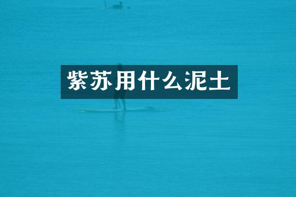 紫苏用什么泥土