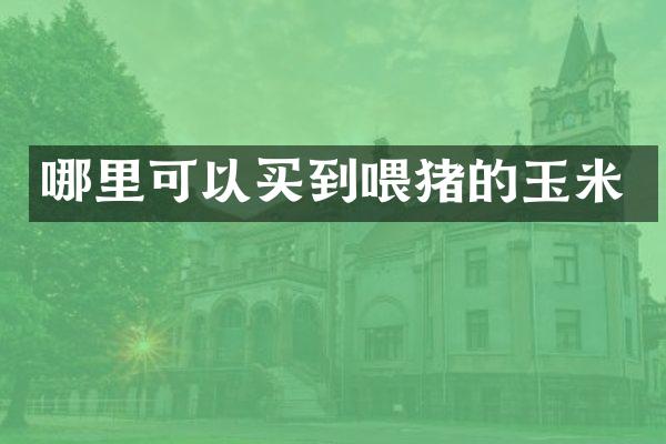 哪里可以买到喂猪的玉米
