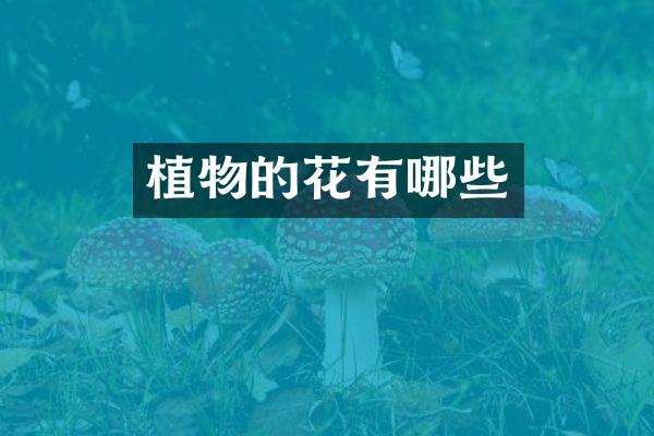 植物的花有哪些