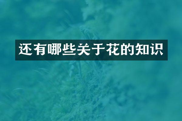 还有哪些关于花的知识