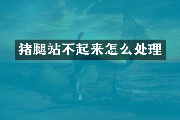 猪腿站不起来怎么处理