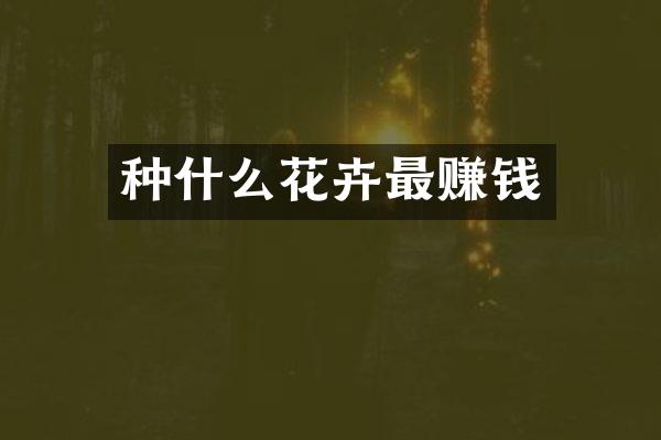 种什么花卉最赚钱