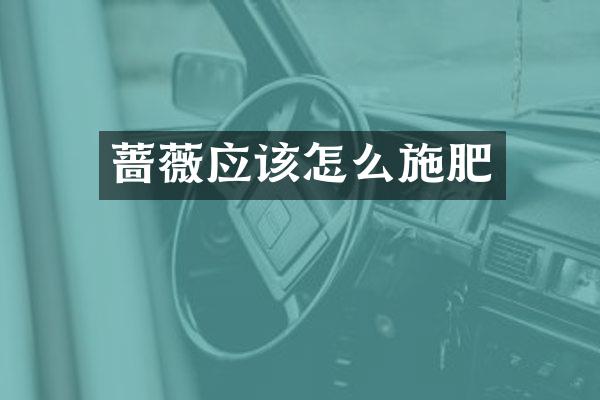 蔷薇应该怎么施肥