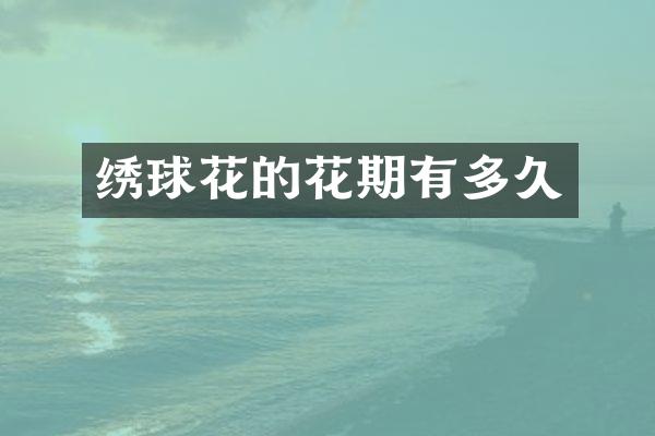 绣球花的花期有多久
