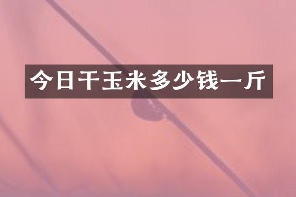 今日干玉米多少钱一斤
