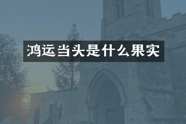 鸿运当头是什么果实