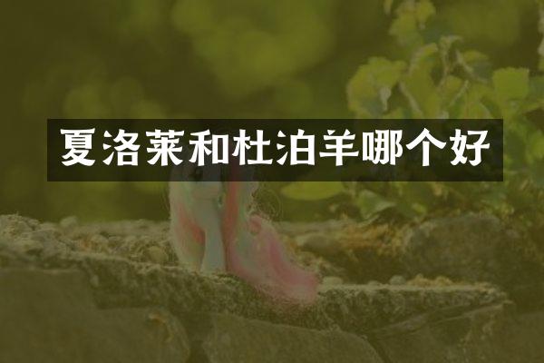 夏洛莱和杜泊羊哪个好