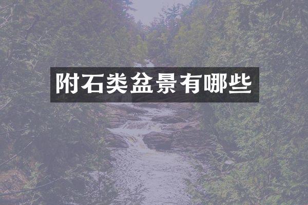 附石类盆景有哪些