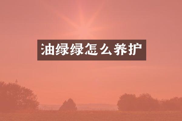 油绿绿怎么养护