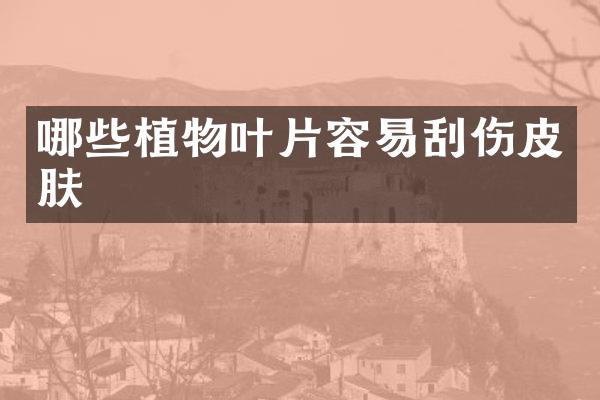 哪些植物叶片容易刮伤皮肤