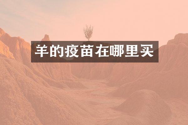 羊的疫苗在哪里买